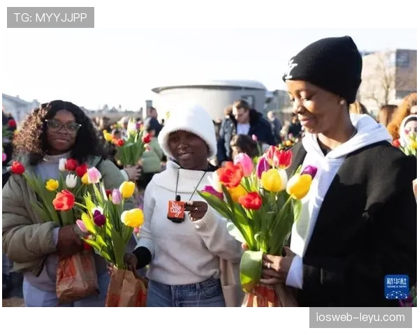 荷兰郁金香足球开启新赛季，重建计划点燃球迷期待