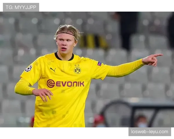 哈兰德家厨房的账单，普通人梦都不敢做